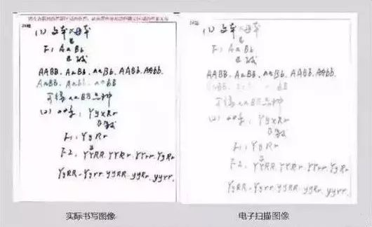 内幕!高考阅卷扫描真相既然是这么残酷!
