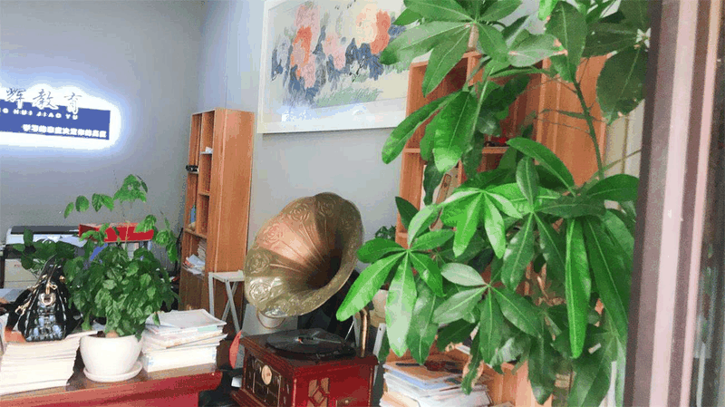 百年教育强势进驻云阳，着力打造教育培训事业新高地！
