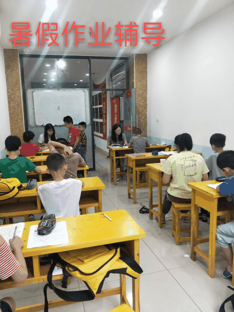 人气爆棚！百年教育暑假第一期文化及艺术培训开课啦！
