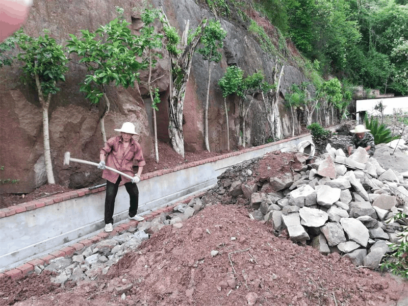 百年书院扩建工程项目建设正如火如荼推进