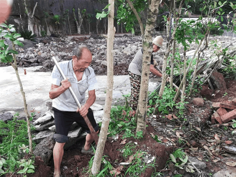 百年书院扩建工程项目建设正如火如荼推进