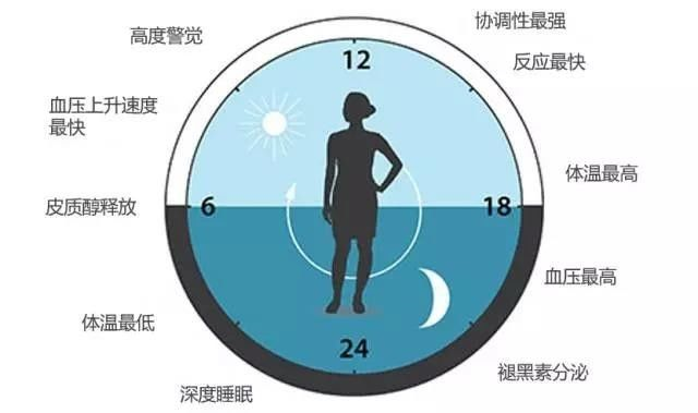 请转给晚睡的学生:熬夜学习精神可嘉,但方法不可取!