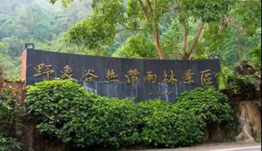 百年人“金秋之约”七彩云南公费旅游（之二）